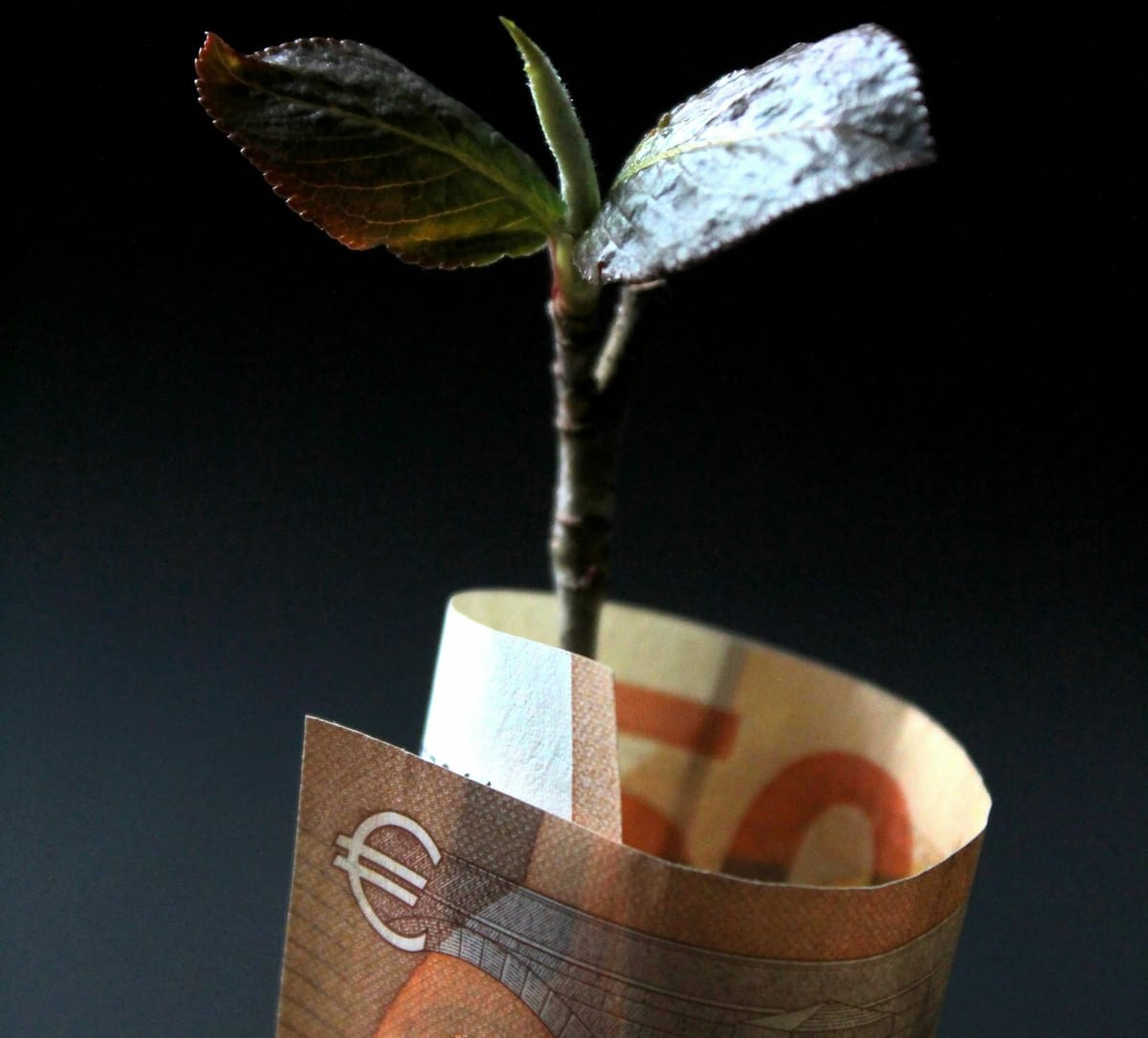 Austerity deepened recessions, worsened debt, and failed to restore competitiveness, exposing the paradox of thrift